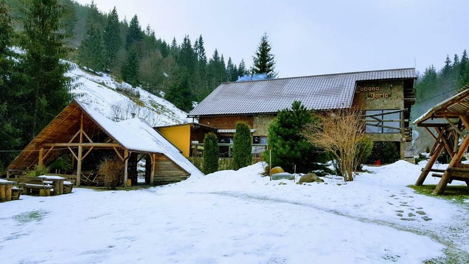 Cabana Daria Arieseni Bagian luar foto