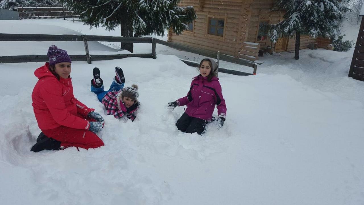 Cabana Daria Arieseni Bagian luar foto