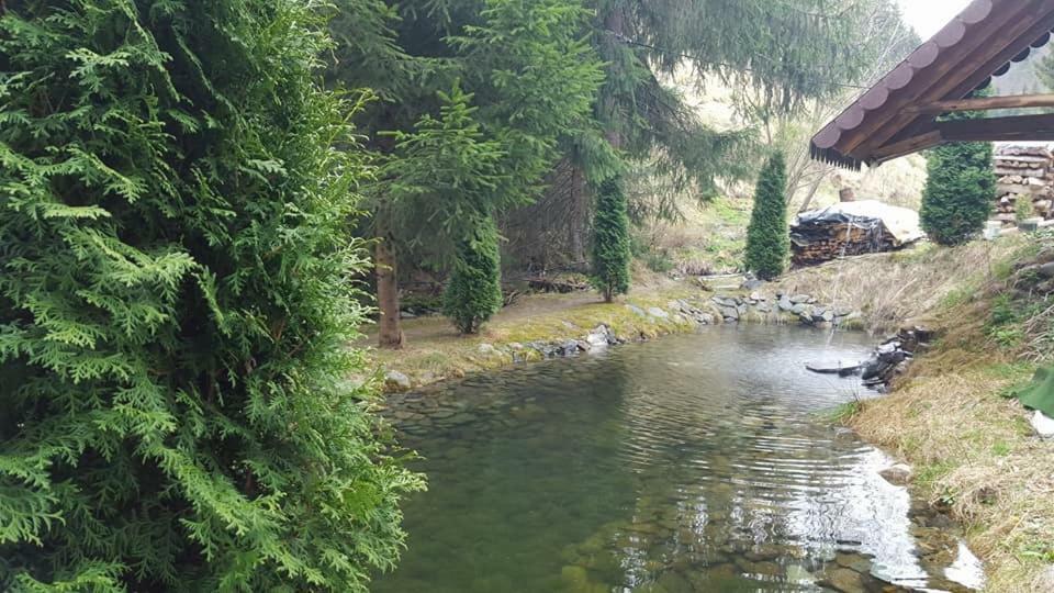 Cabana Daria Arieseni Bagian luar foto