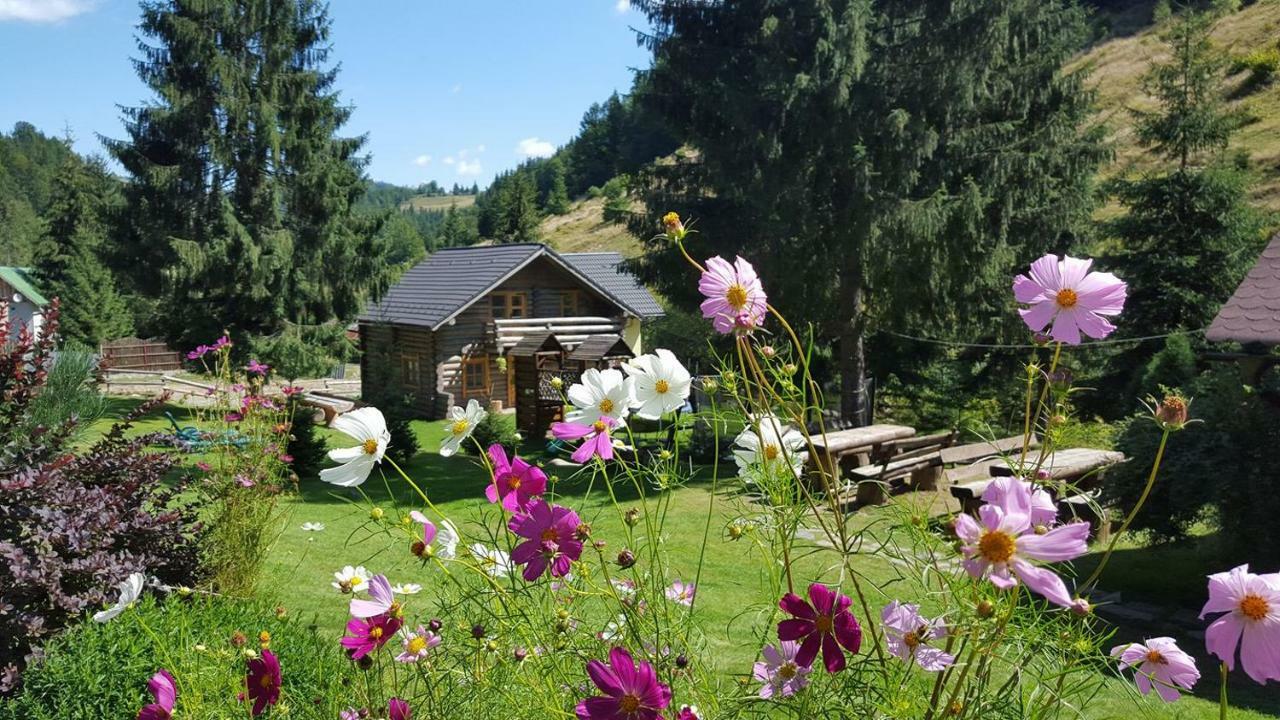 Cabana Daria Arieseni Bagian luar foto