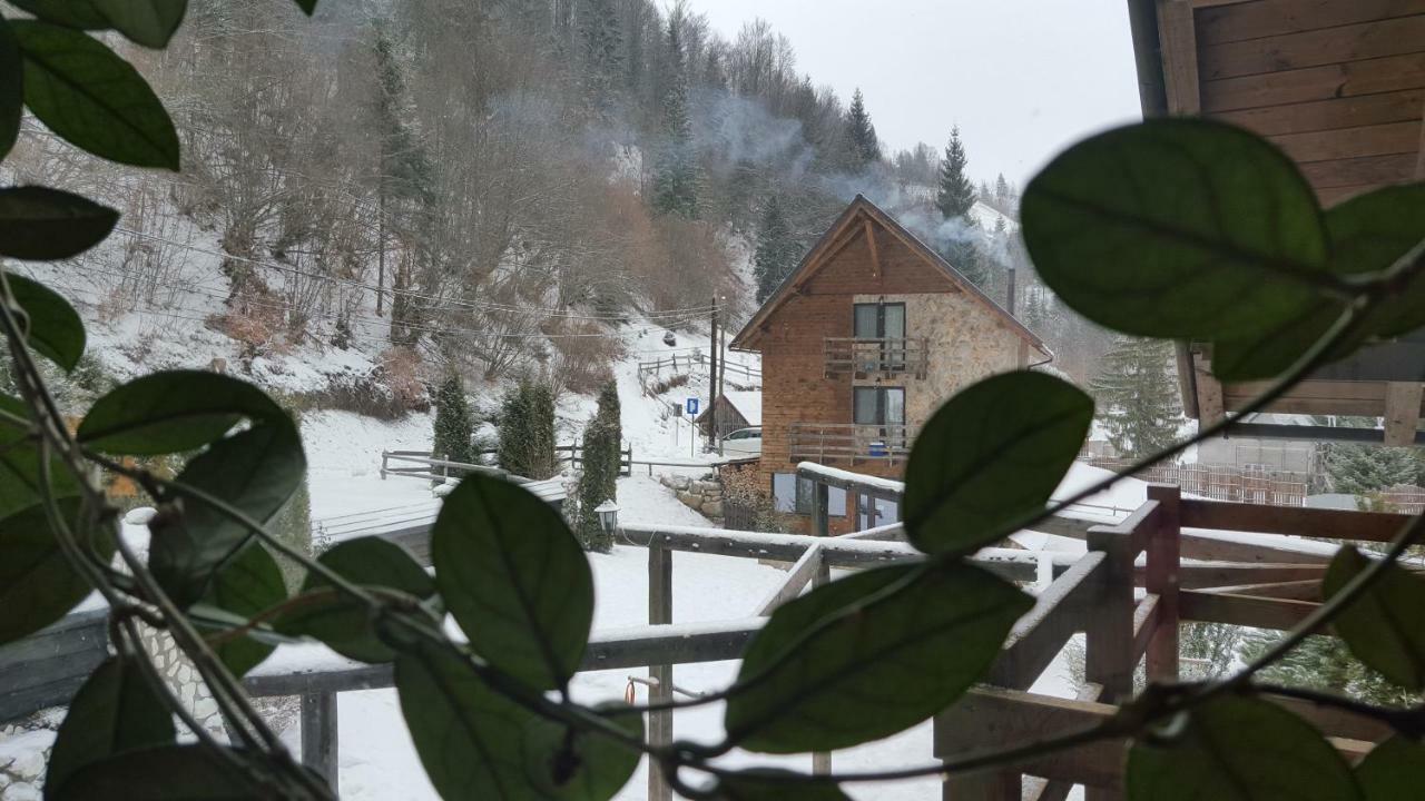 Cabana Daria Arieseni Bagian luar foto